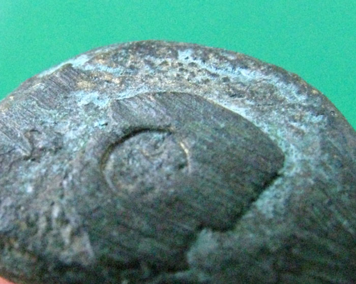 ล.พ.เงิน รุ่นฟ้าคำรณ ปี 34