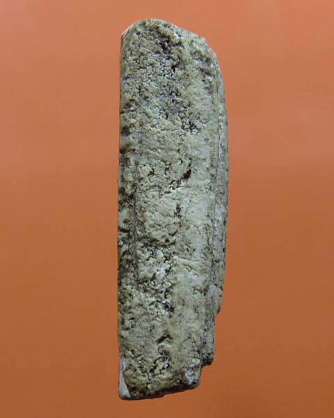 สมเด็จหลวงปู่นาค วัดระฆัง 2495