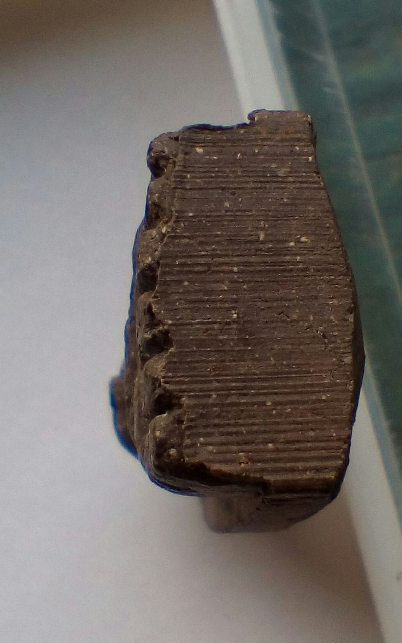 #พิมพ์แข้งขีด(นิยม) ..พระเนื้อว่าน หลวงปู่ทวด รุ่นพระเจ้า๕พระองค์[หลวงปู่หมุน ปลุกเสกฯ] ..สวย..แท้ √