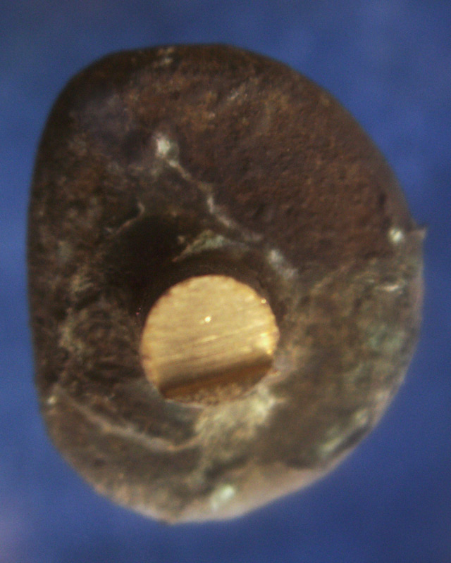 แท้ๆ จากวัด !! รูปหล่อหลวงพ่อเงิน รุ่นปืนแตก วัดคงคาราม (บางคลานใต้) ตัดจากช่อกรรมการ (2)