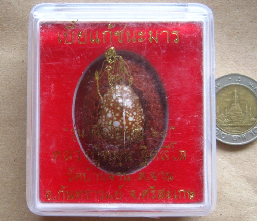 เบี้ยแก้ชนะมาร ปี2560 รุ่น พึ่งใบบุญ หลวงปู่หมุน วัดบ้านจาน ถักเชือก ฝังเหรียญเม็ดแตง ตอกโค้ด+กล่อง