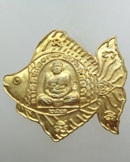๒๐ เหรียญหลวงปู่ทิม วัดพระขาว