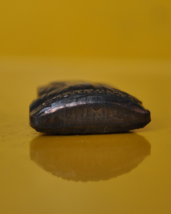 รุปเหมือนปั๊มรุ่นสอง หลวงพ่อชำนาญ วัดบางกุฎีทอง