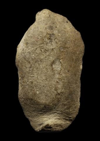 หลวงพ่อทวด วัดปานศึกษา ปี 2505 พิมพ์หายาก นาคปรก