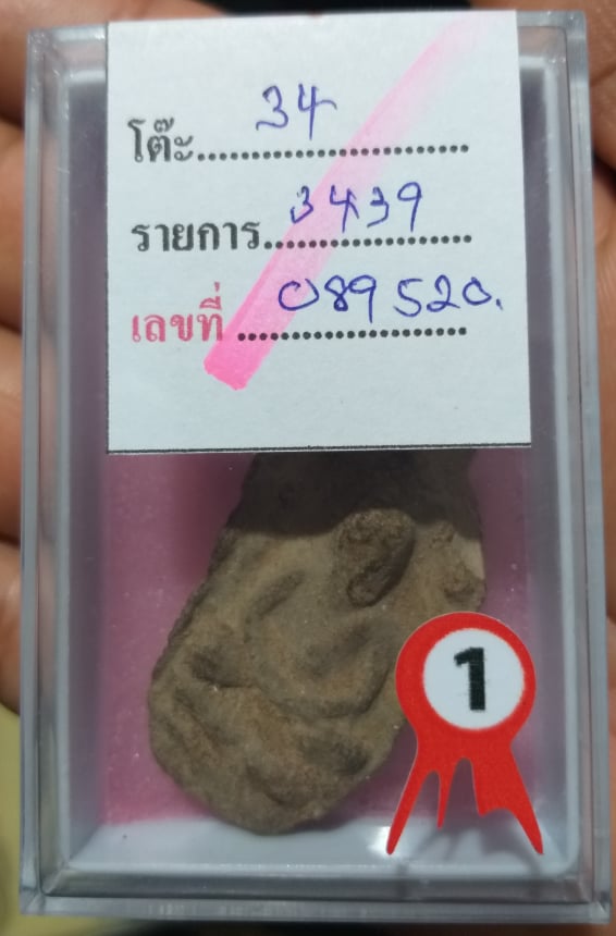 หลวงพ่อทวด วัดปานศึกษา ปี 2505 พิมพ์หายาก นาคปรก