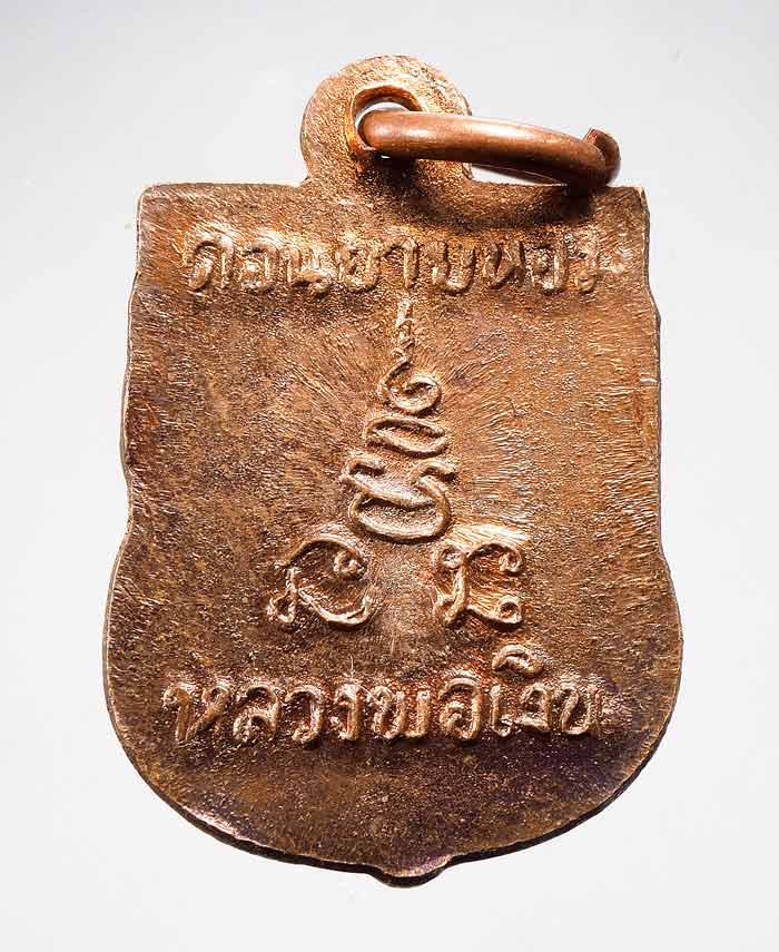 20 บาท....เหรียญหลวงพ่อเงิน วัดดอนยายหอม เสมาเล็ก....45