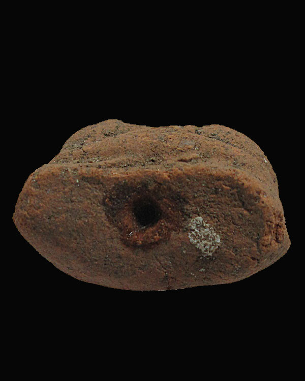 พระวัดตะไกร กรุวัดตะกู จ.อยุธยา