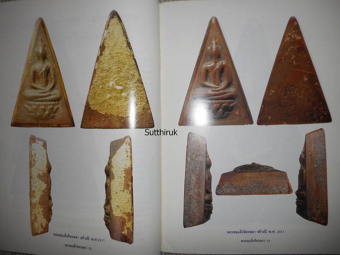 หนังสือ เรียนรู้ เจาะลึก สมเด็จจิตรลดา พระกำลังแผ่นดิน
