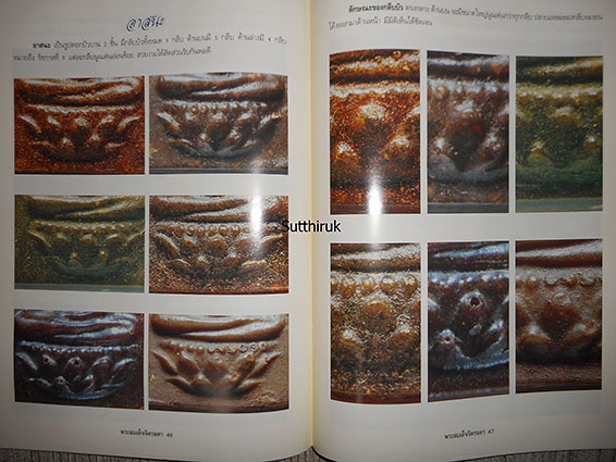 หนังสือ เรียนรู้ เจาะลึก สมเด็จจิตรลดา พระกำลังแผ่นดิน