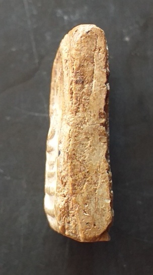 สมเด็จคะแนน บางขุนพรหม 02 หลวงตาพัน พิมพ์กลาง