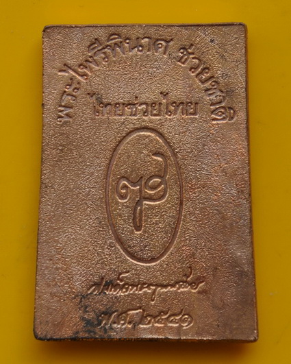 เหรียญพระไพรีพินาศ รุ่น ไทยช่วยไทย 