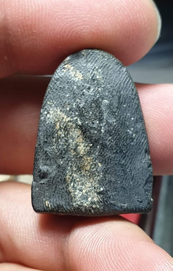 ทวดหมาน ปี 2507