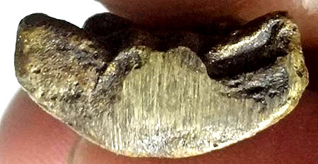 *พระปิดตาหล่อโบราณ รุ่นแรก หลวงพ่อยุ้ย วัดบางกะปิ กทม. ปี๒๔๘๕*