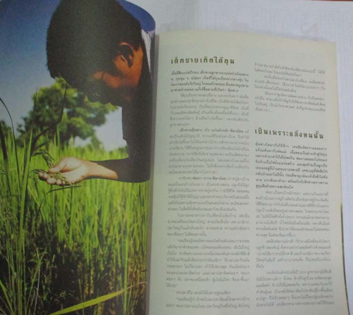 หนังสือนิตยาสาร ฅ. คน ฉบับพิเศษ เดือนธันวาคม ปี2553 ข้าวอินทรีย์วิถีเกื้อกูล