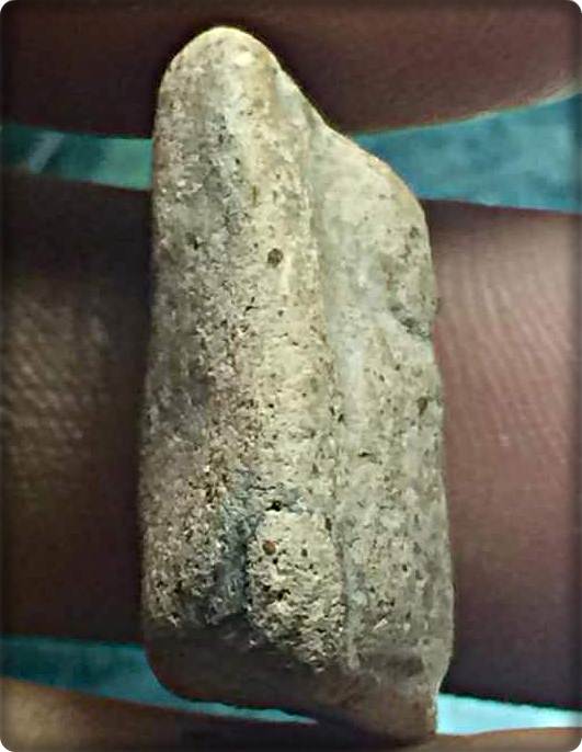 เปิดพระเชตุพนสมัยกรุสุโขทัยแท้ดูง่ายพิมพ์ชัดเจนเปิดราคาเบาเบา