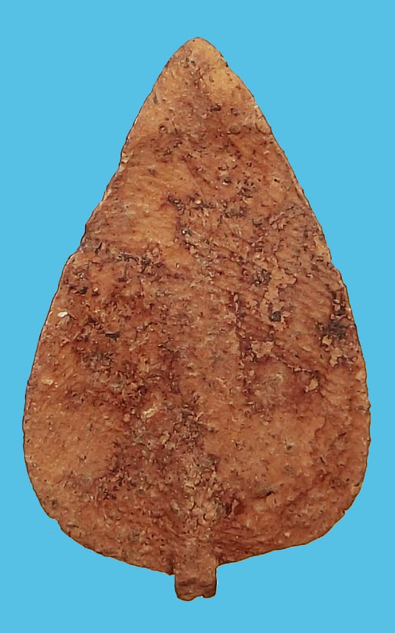 พระนางพญากลีบบัว วัดลิงขบ  หรือ วัดบวรมงคล เป็นวัดเก่าแก่มีมาก่อนตั้งกรุงรัตนโกสินทร์