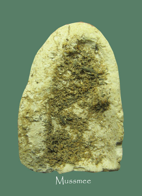 @@@ พระกรุวัดคลองขอม (พิมพ์ปิดตา) หลวงปู่ศุข วัดปากคลองมะขามเฒ่าปลุกเสก ### เคาะเดียว ###