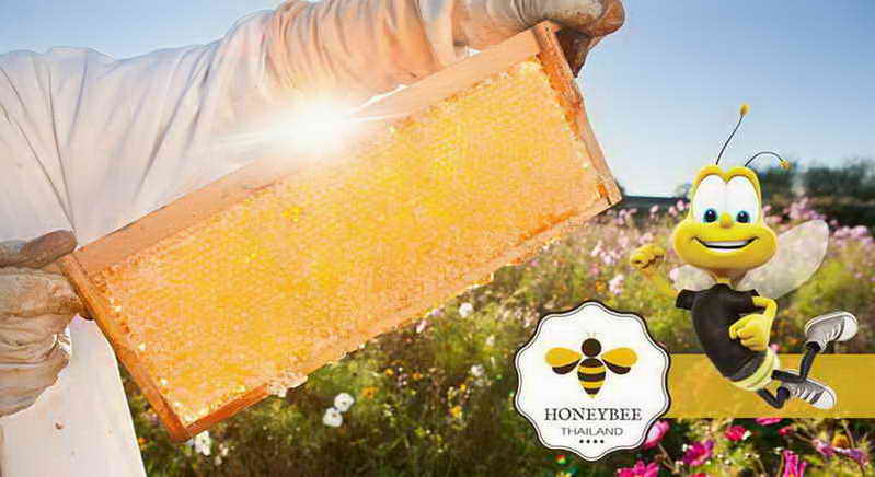รังผึ้งแท้ มี อ.ย. รับรอง HONEYBEE THAILAND ขนาด 70 กรัม 1 กล่อง 