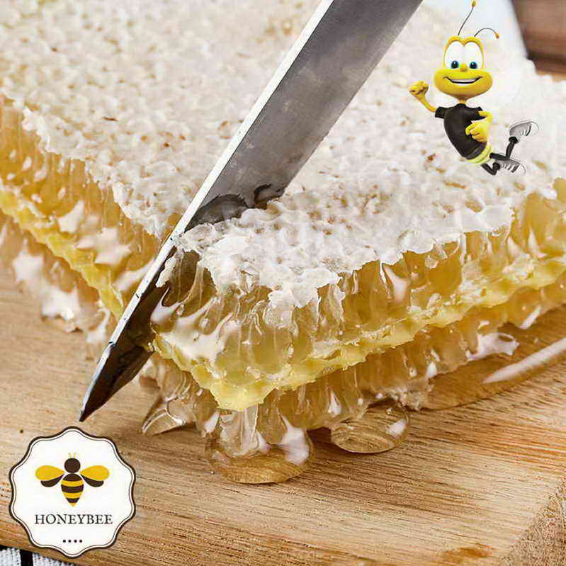 รังผึ้งแท้ มี อ.ย. รับรอง HONEYBEE THAILAND ขนาด 300 กรัม 1 กล่อง 