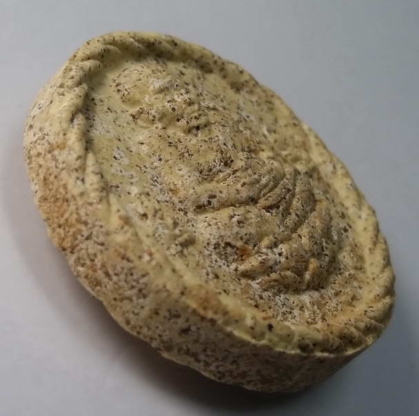 50 บาท หลวงปู่ทวด หลังพระพุทธปางปฐมเทศนา วัดห้วยมงคล จังหวัดประจวบคีรีขันธ์ เนื้อผงพุทธคุณ โรยไม้เทพ