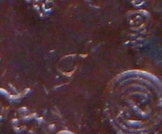 เหรียญหลวงปู่ทวดเปิดโลก รุ่น๒ ปี2554 หลวงพ่อลำใย วัดสะแก ศิษย์หลวงปู่ดู่ ปลุกเสก เนื้อทองแดง มีโค้ด+