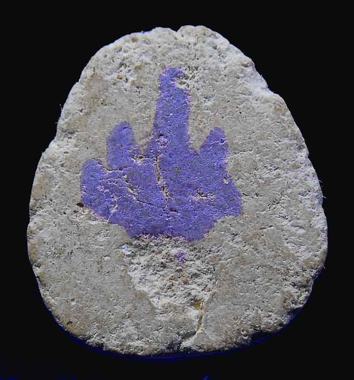 พระปิดตาทรงสิงห์ หลังน้ำหมึก