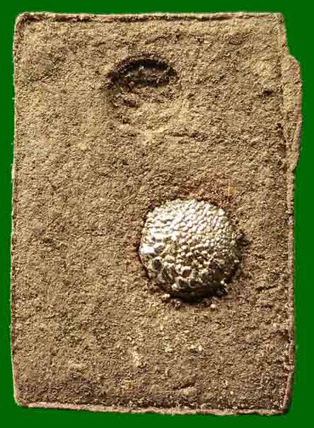 พระหลวงพ่อทวด มหามงคล เนื้อว่าน 108 ฝังแร่ปรอท วัดห้วยมงคล