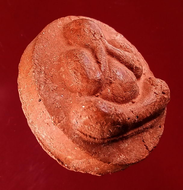 40 บาท  พระปิดตาเนื้อผงว่านแดง สบู่เลือด หลังหนุมานเชิญธง หลวงปู่เกลี้ยง วัดเนินสุทธาวาส เชิญครับไม่