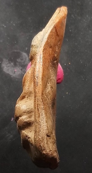 พระสรรค์นั่งหลวงพ่อกวย วัดโฆษิตาราม จ.ชัยนาท