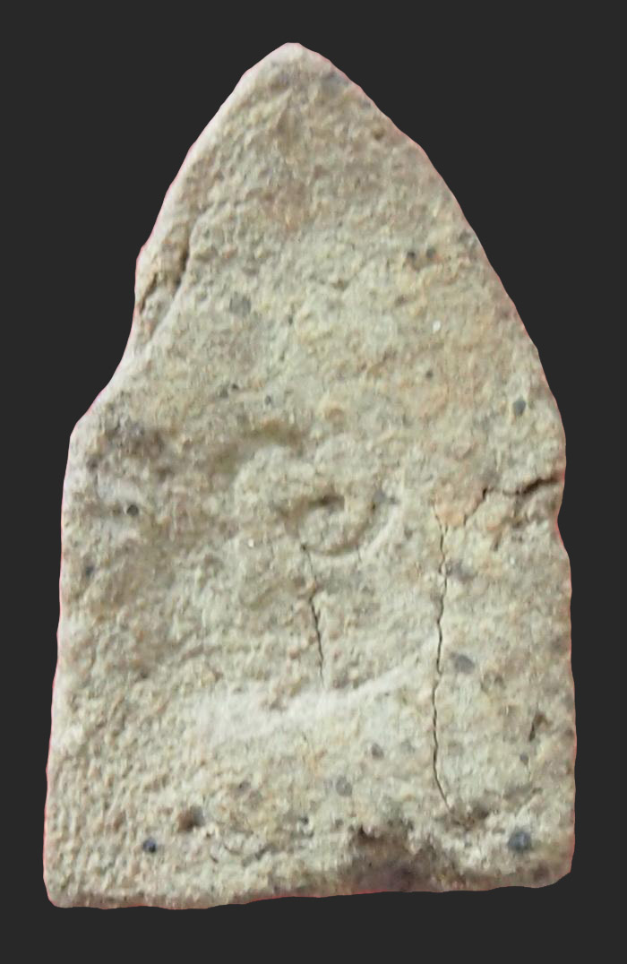 หลวงปู่ทวดนวล วัดตุยง  พ.ศ.2507