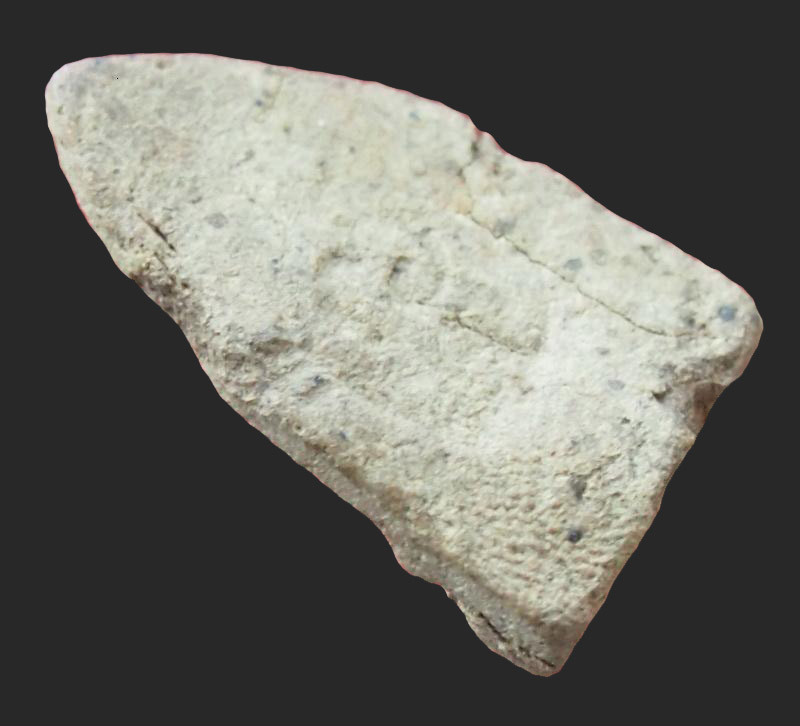 หลวงปู่ทวดนวล วัดตุยง  พ.ศ.2507