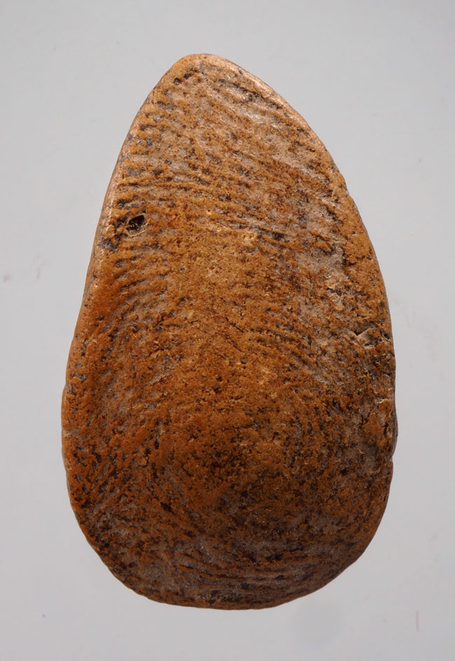 พระกลีบบัว กรุลานดอกไม้ สุโขทัย เนื้อดินเผา