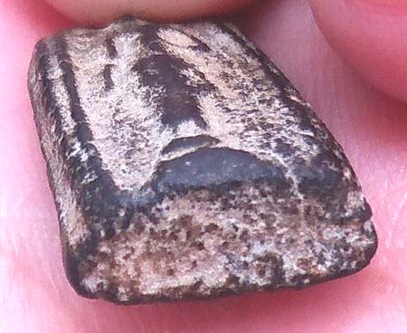 *พระพุทธบาทปิลันทน์ พิมพ์ครอบแก้วเล็ก เนื้อใบลาน*