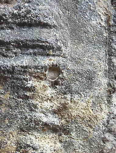 หลวงปู่ทวดวัดพะโค๊ะ พิมพ์ใหญ่ เนื้อว่าน ปี2506