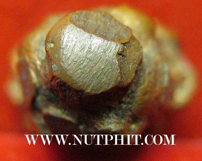 พระปิดตา หลวงพ่อเกิด วัดบางเดื่อ นนทบุรี*24