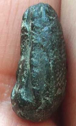 *เม็ดน้อยหน่า กรุวัดศาลาปูน อยุธยา*