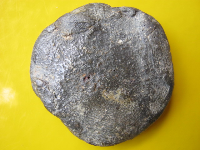 งบน้ำอ้อย กรุเตาทุเรียง สุโขทัย  พร้อมบัตรรับรองพระแท้