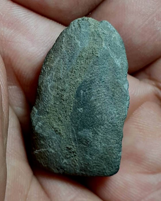 เคาะเดียว..ราคาตามสภาพ หลวงปู่ทวด วัดม่วง เนื้อว่าน ปี๒๔๐๕ (อ.ทิม วัดช้างให้ ปลุกเสก)