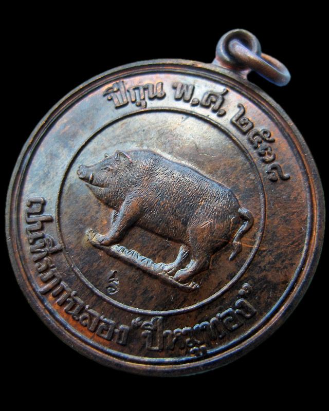 เหรียญหมู "ที่ระลึกปีหมูทอง" หลวงพ่อสาคร มนุญโญ วัดหนองกรับ จ.ระยอง พ.ศ.2538
