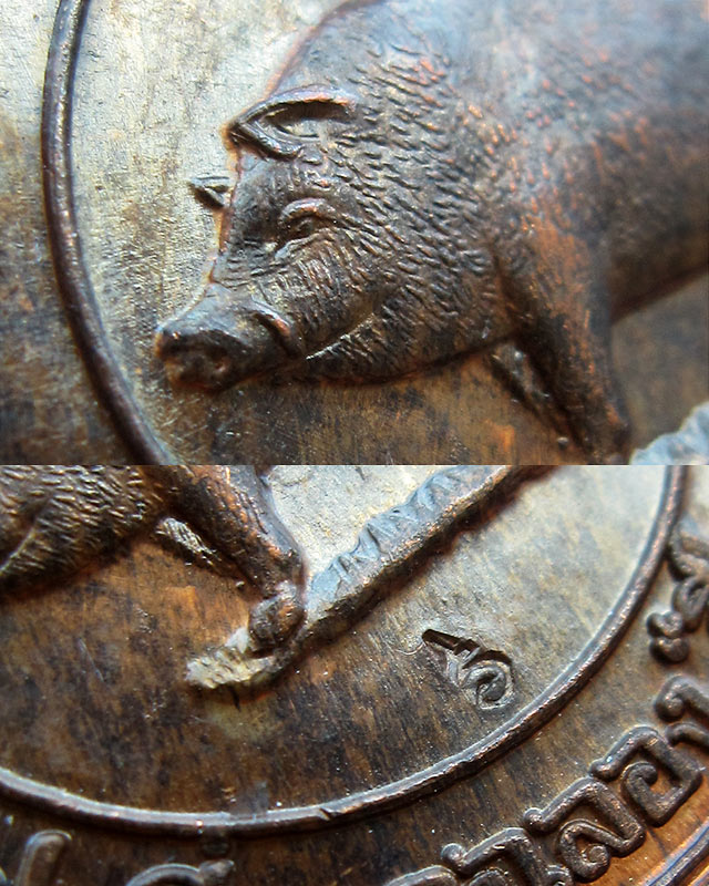 เหรียญหมู "ที่ระลึกปีหมูทอง" หลวงพ่อสาคร มนุญโญ วัดหนองกรับ จ.ระยอง พ.ศ.2538