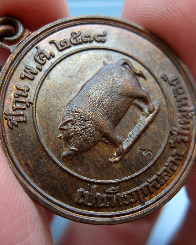 เหรียญหมู "ที่ระลึกปีหมูทอง" หลวงพ่อสาคร มนุญโญ วัดหนองกรับ จ.ระยอง พ.ศ.2538