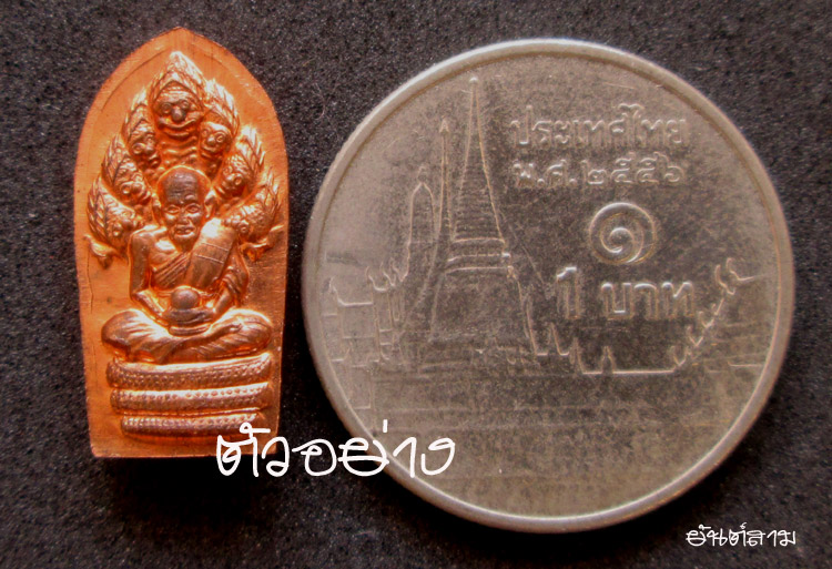 พระปรกใบมะขามราชันดำ รุ่นแรก (คนสองโลก) วัดพุทไธศวรรย์ ปี46