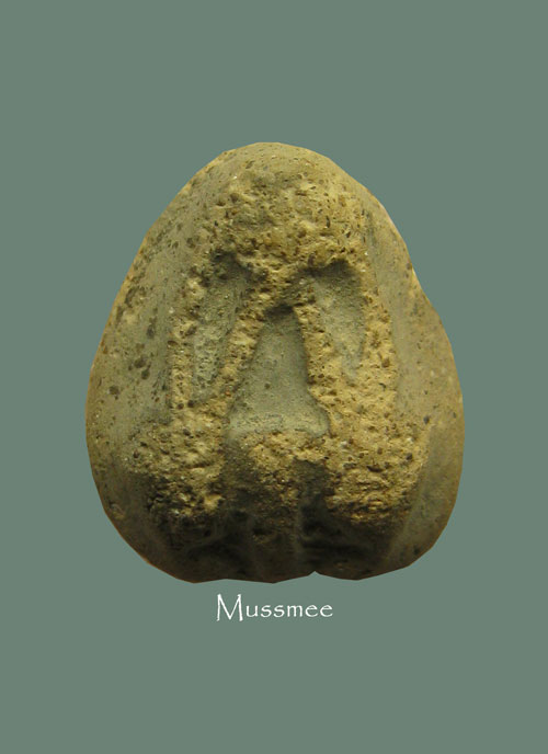 พระกรุวัดบางสะแกนอก พิมพ์พระปิดตาเม็ดบัว (หายากครับ) หลวงปู่ศุขปลุกเสก ### เคาะเดียว 