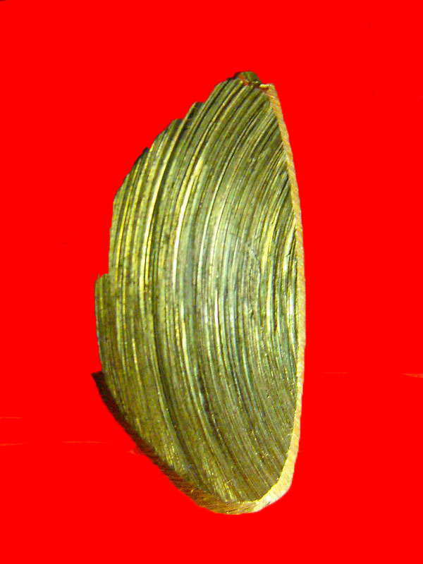 @@.พิมพิ์กรรมการ..@@ ปั๊มกริ่งหลวงพ่อเงิน วัดบางคลาน"รุ่นปี15 ออกวัดท้ายน้ำ"