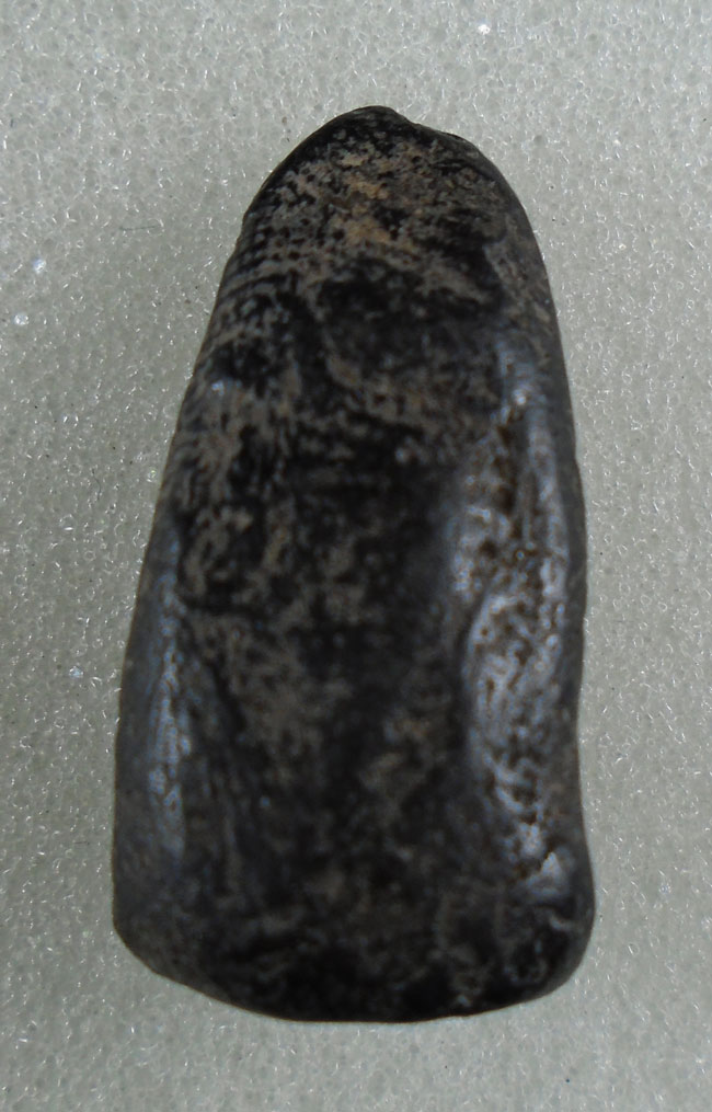 20บาท...พระรอด เนื้อผงใบลาน  ไม่ทราบที่///H95