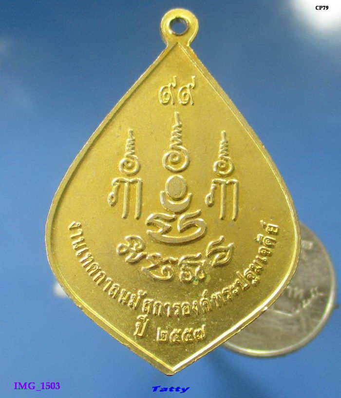 พระร่วงโรจนฤทธิ์ วัดพระปฐมเจดีย์ ปี57