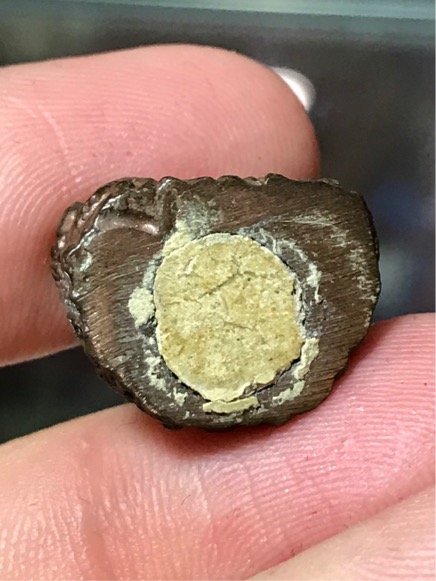 รูปหล่อ ฐาน ปูปลา อุดผงพราย เนื้อนวโลหะ หลวงพ่อสาคร วัดหนองกรับ