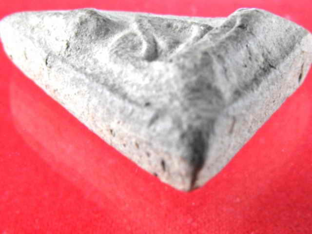 นางพญากรุโรงทอ วัดโพธิญาณ จ.พิษณุโลก"เปิดกรุ ปี2549"เนื้อดิน