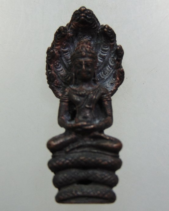 ๒๐ รูปหล่อพระนาคปรก