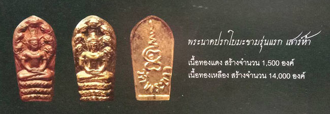 ปรกใบมะขาม เนื้อทองแดง รุ่นแรก หลวงปู่ทิม วัดพระขาว 